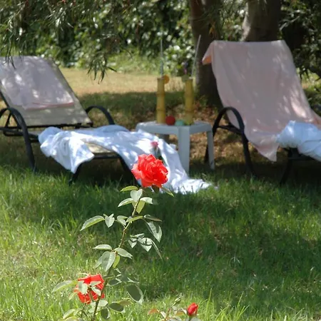 Gr Mayurca Hotel Canyamel (Mallorca)